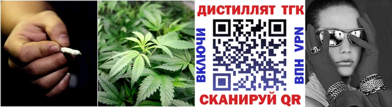 как найти   Туран  ТГК концентрат 